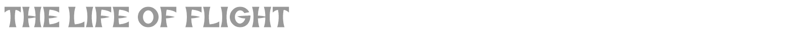 The Life Of Flight font preview